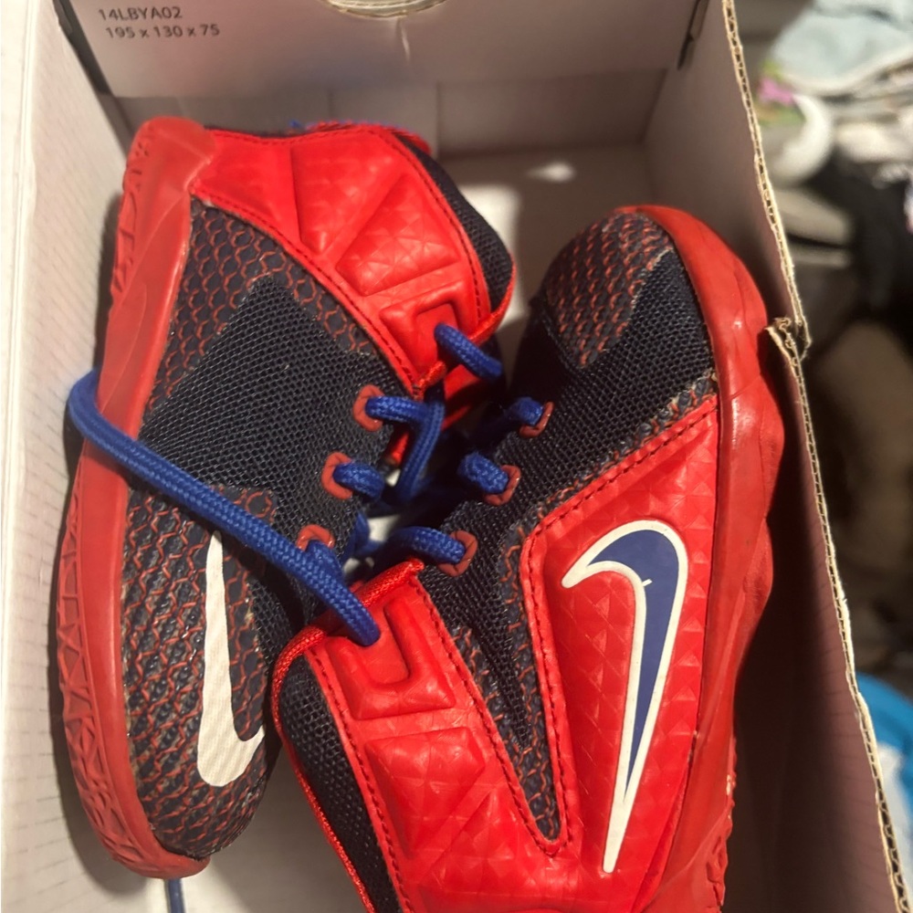 Nike LeBron 12 TD